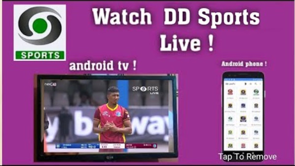 DD Sports