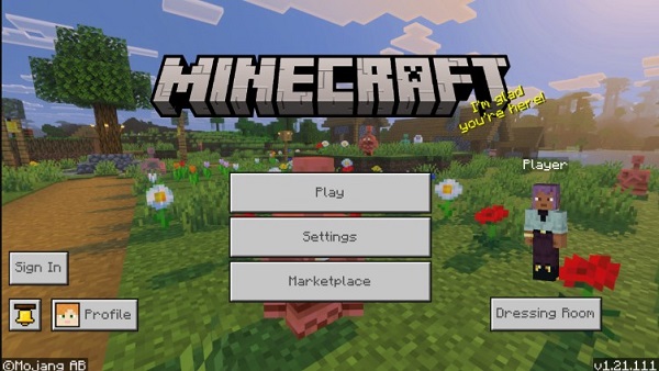 Minecraft