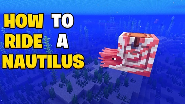 How To Ride A Nautilus In Minecraft APK