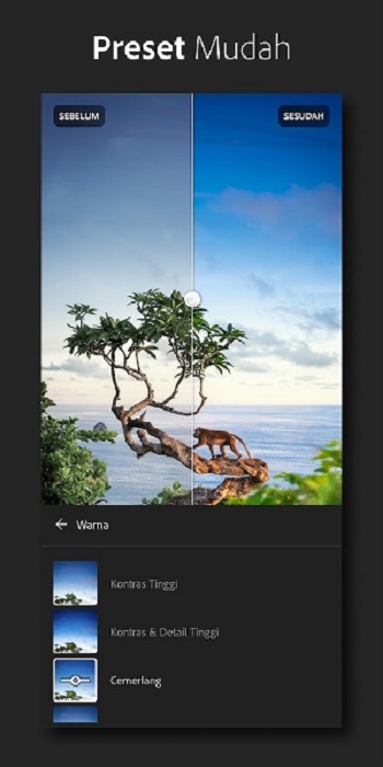 adobe lightroom apk