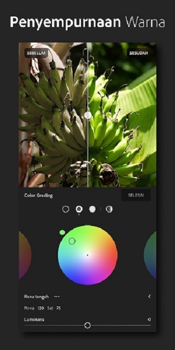 lightroom apk download