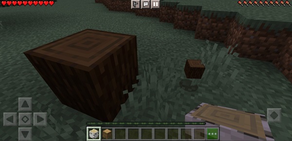 minecraft 1 21 23 update