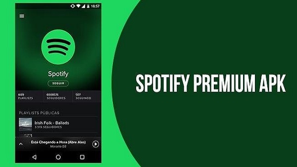 spotify 9 0 0 487 free