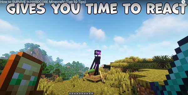 minecraft hardcore survival tips apk(1)