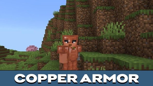 minecraft 1 21 114