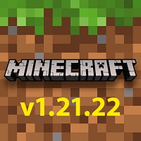 minecraft 1.21.22