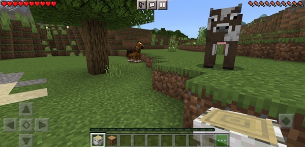 minecraft 1 21 23 download